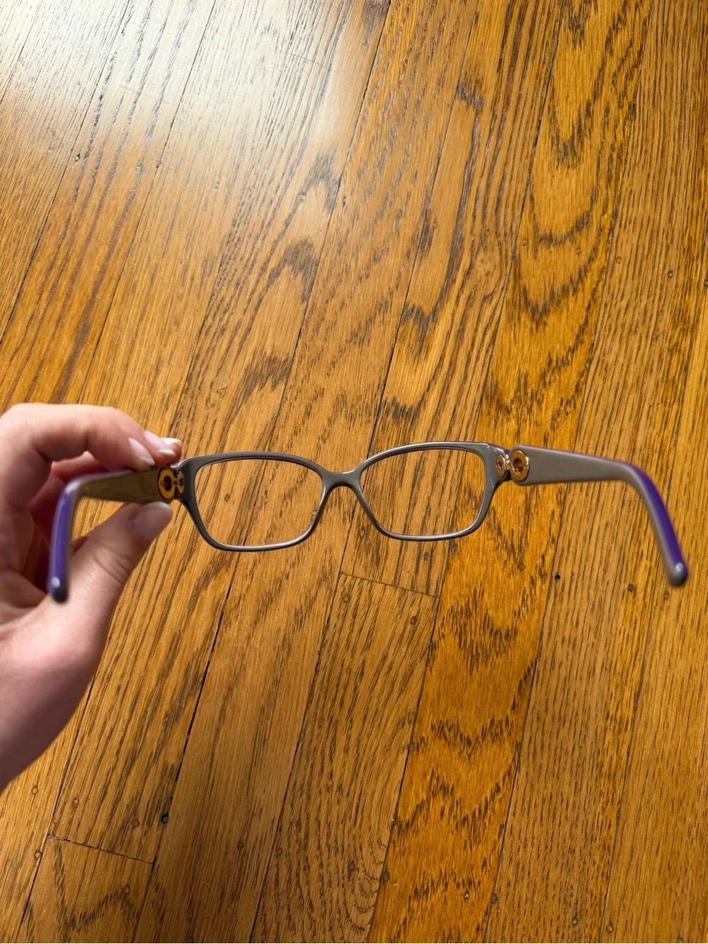 Vintage Christian Dior Archival Acetate Glasses (CD 3267)